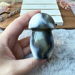 Gorgeous Orca Agate Mushroom Carving